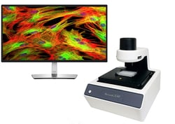 LAXCO Accuva LEAP upgradable multichannel phase-fluorescence inverted imaging system 110/220 V | Buy Online | LAXCO | Fisher Scientific